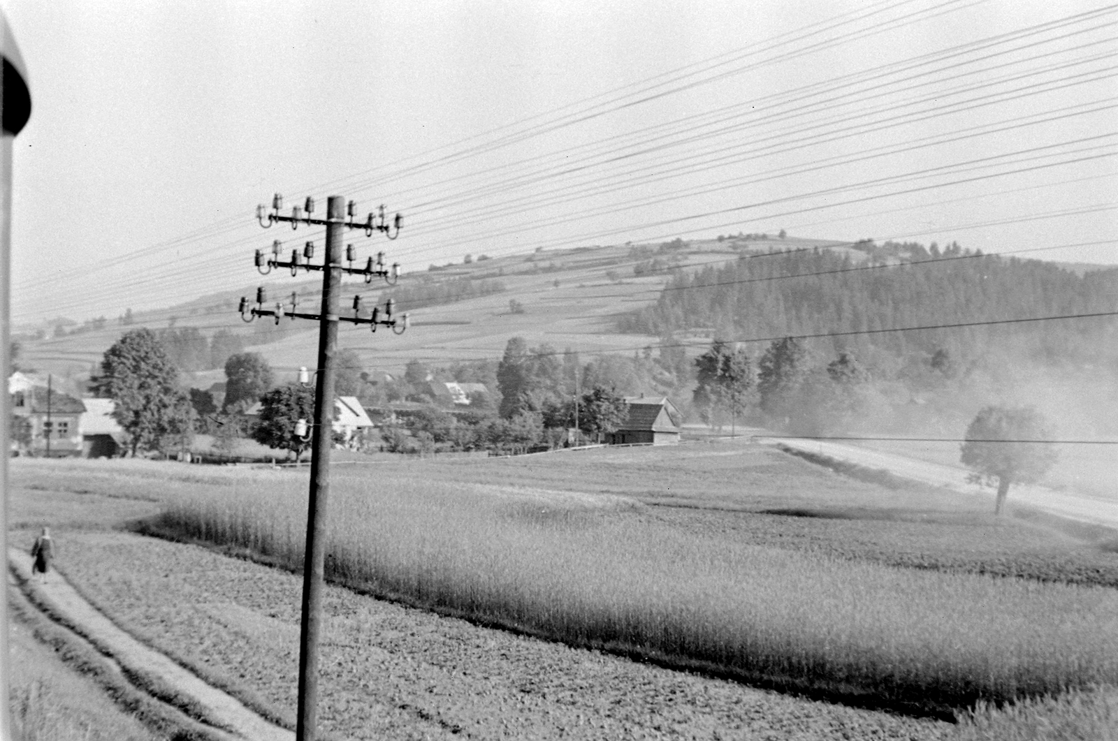 Poland, Nowy Targ és Zakopane között a vonatból, Gmina Bialy Dunajec környékén., 1958, Szent-tamási Mihály, landscape, porcelain insulators, pylon, Fortepan #14453