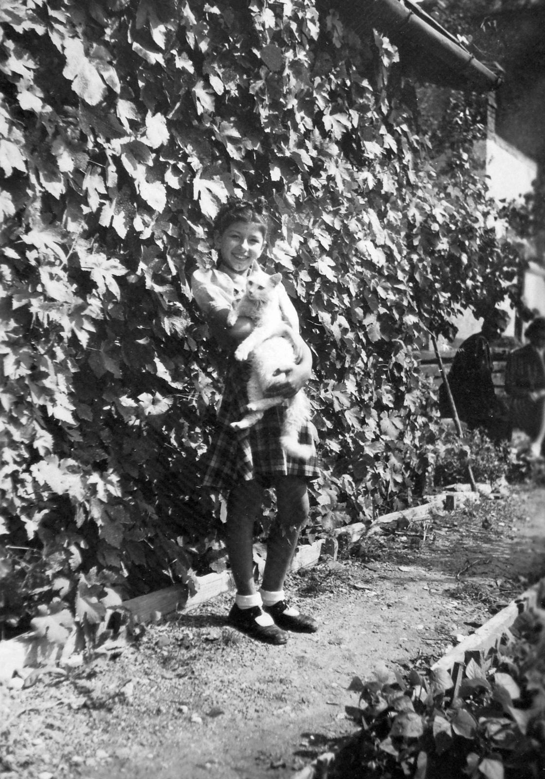 1938, Baráth Endre, cat, fun, Fortepan #14533