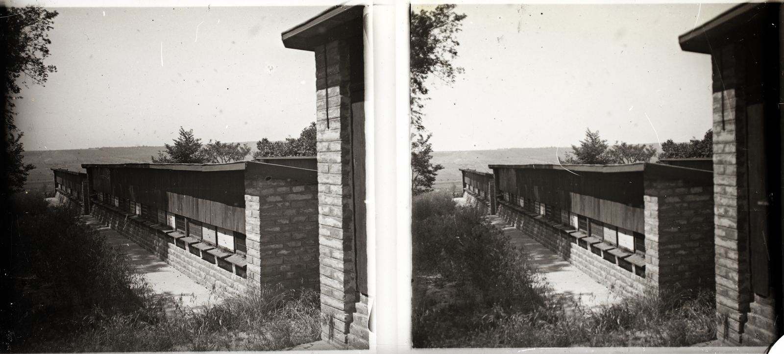 Hungary, Aszód, gróf Széchenyi Gyula méhészete., 1925, Asztalos András, stereophoto, Fortepan #146013