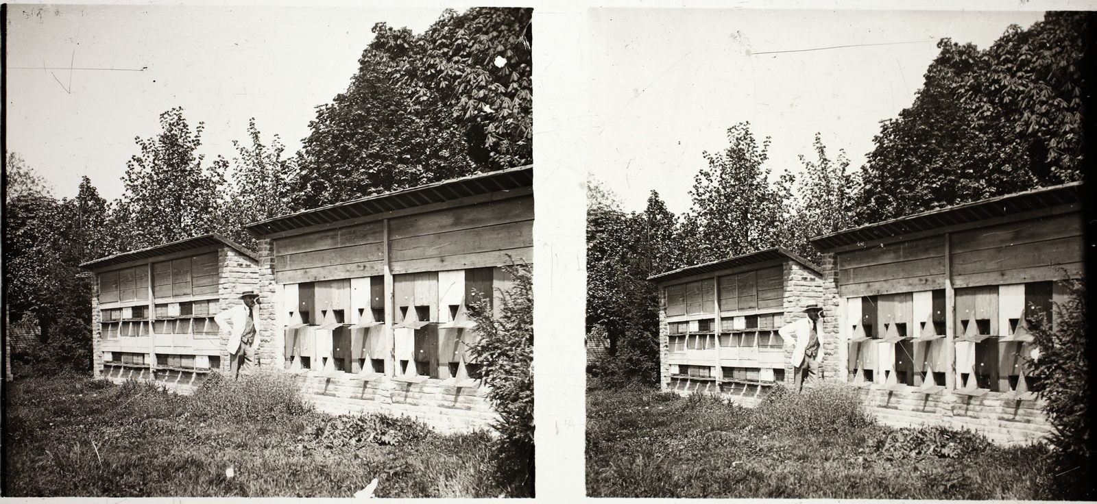 Hungary, Aszód, gróf Széchenyi Gyula méhészetében., 1925, Asztalos András, stereophoto, Fortepan #146016