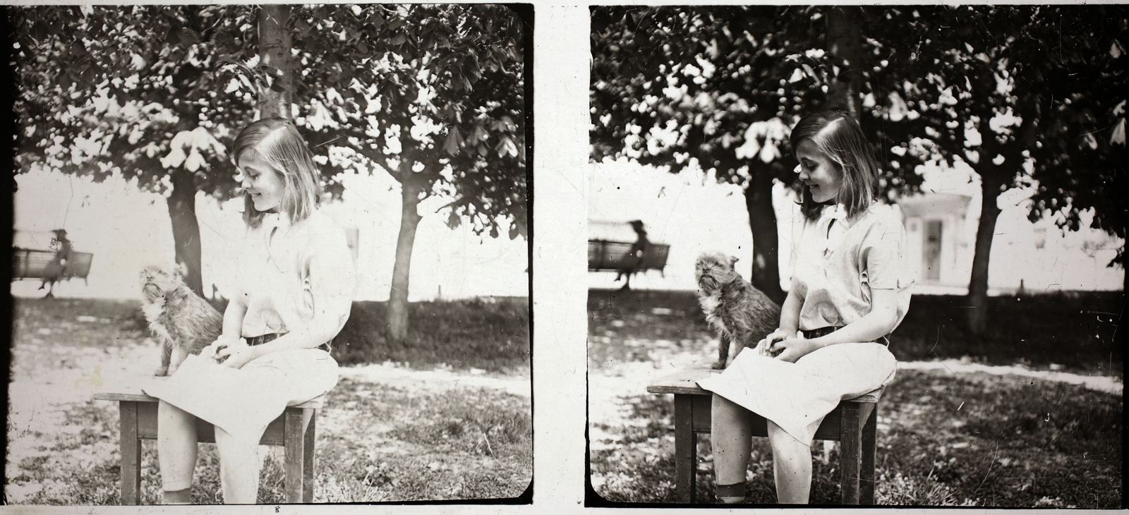 Hungary, Aszód, a Podmaniczky–Széchenyi-kastély parkja., 1930, Asztalos András, stereophoto, kitchen stool, dog, girl, Fortepan #146033