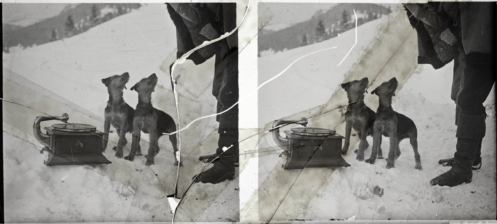 Romania,Transylvania, Gheorgheni, a felvétel a város közeli hegyen készült., 1916, Asztalos András, stereophoto, dog, gramophone, Fortepan #146044