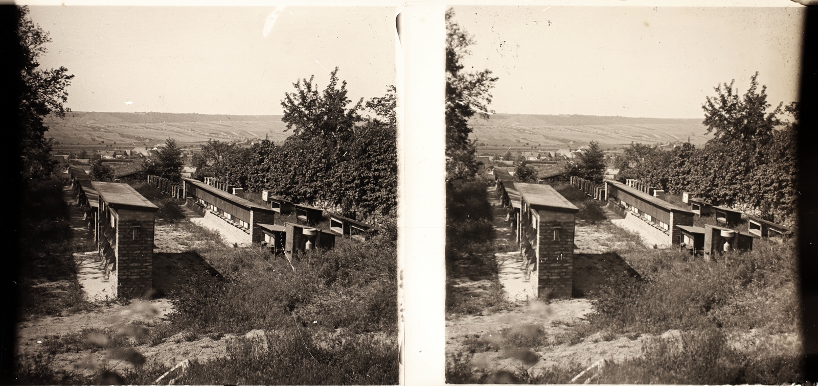 Magyarország, Aszód, gróf Széchenyi Gyula méhészete., 1925, Asztalos András, sztereófotó, kaptár, Fortepan #146049