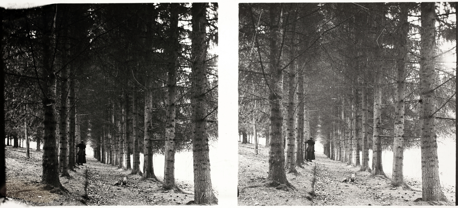 Romania,Transylvania, Gheorgheni, Csíky-kert., 1915, Asztalos András, alley, stereophoto, Fortepan #146050