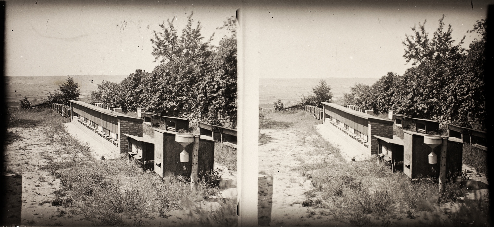 Hungary, Aszód, gróf Széchenyi Gyula méhészete., 1925, Asztalos András, stereophoto, Fortepan #146053