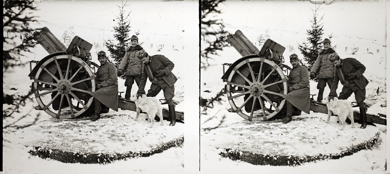 Romania,Transylvania, Gheorgheni, a Császári és Királyi Hadsereg tüzérségi állása a város melletti hegyen. 1914M 10,4 cm Skoda vontatott tábori tarack., 1916, Asztalos András, First World War, winter, dog, cannon, stereophoto, artillery, Fortepan #146075