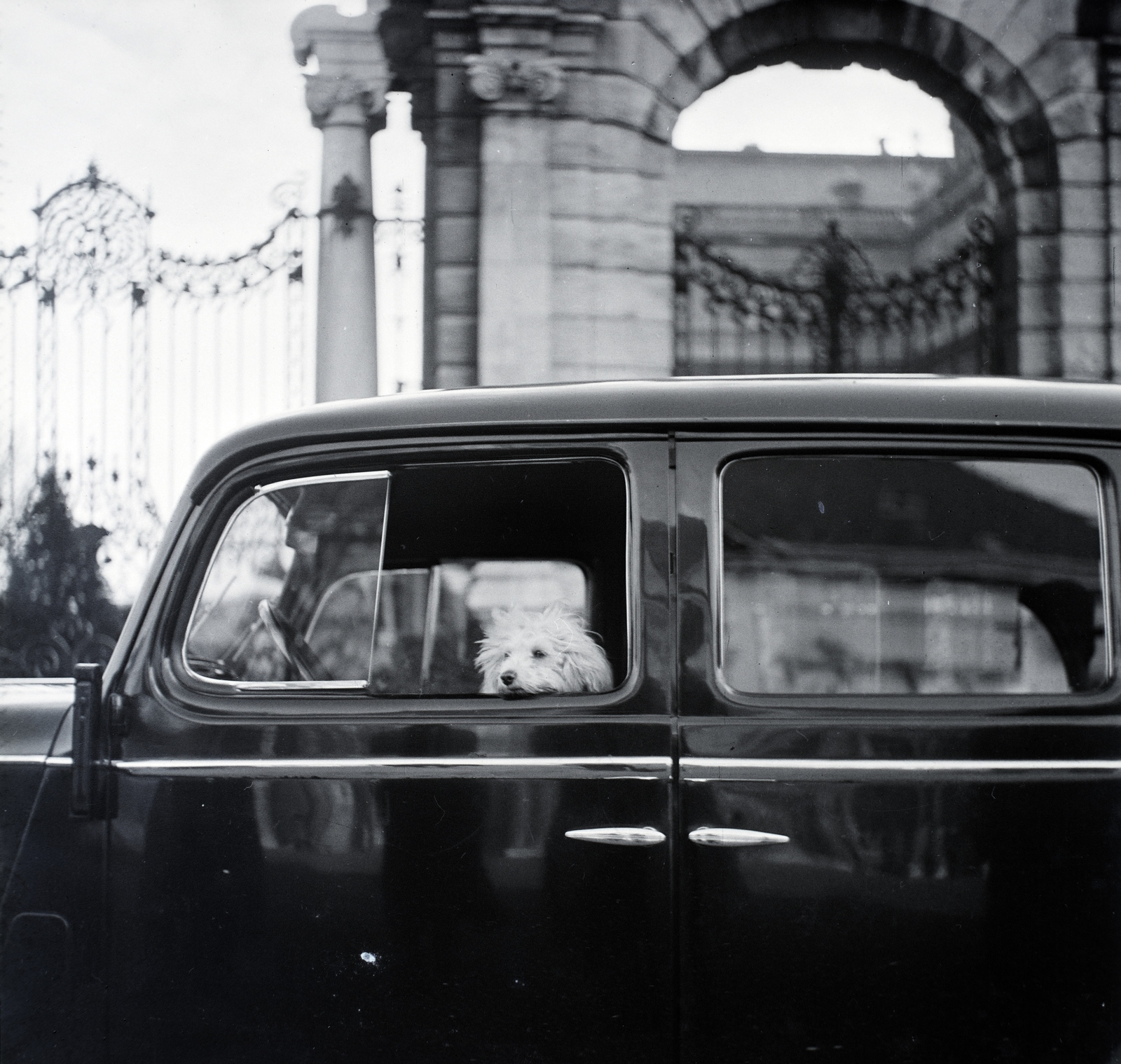 Hungary, Budapest I., Szent György tér, háttérben a Várkert kapuja., 1936, Sattler Katalin, dog, Budapest, Fortepan #146128