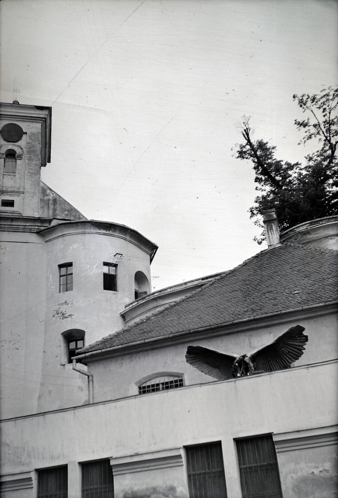 Ukraine,Zakarpattia Oblast, Mukachevo, a felvétel a középső vár udvarán a Rákóczi téren készült. Balra a vártemplom tornya, jobbra a fellegvár középső körbástyáján az 1848-ban ültetett hársfa, a Szabadság Fája látható., 1939, Sattler Katalin, Fortepan #146197