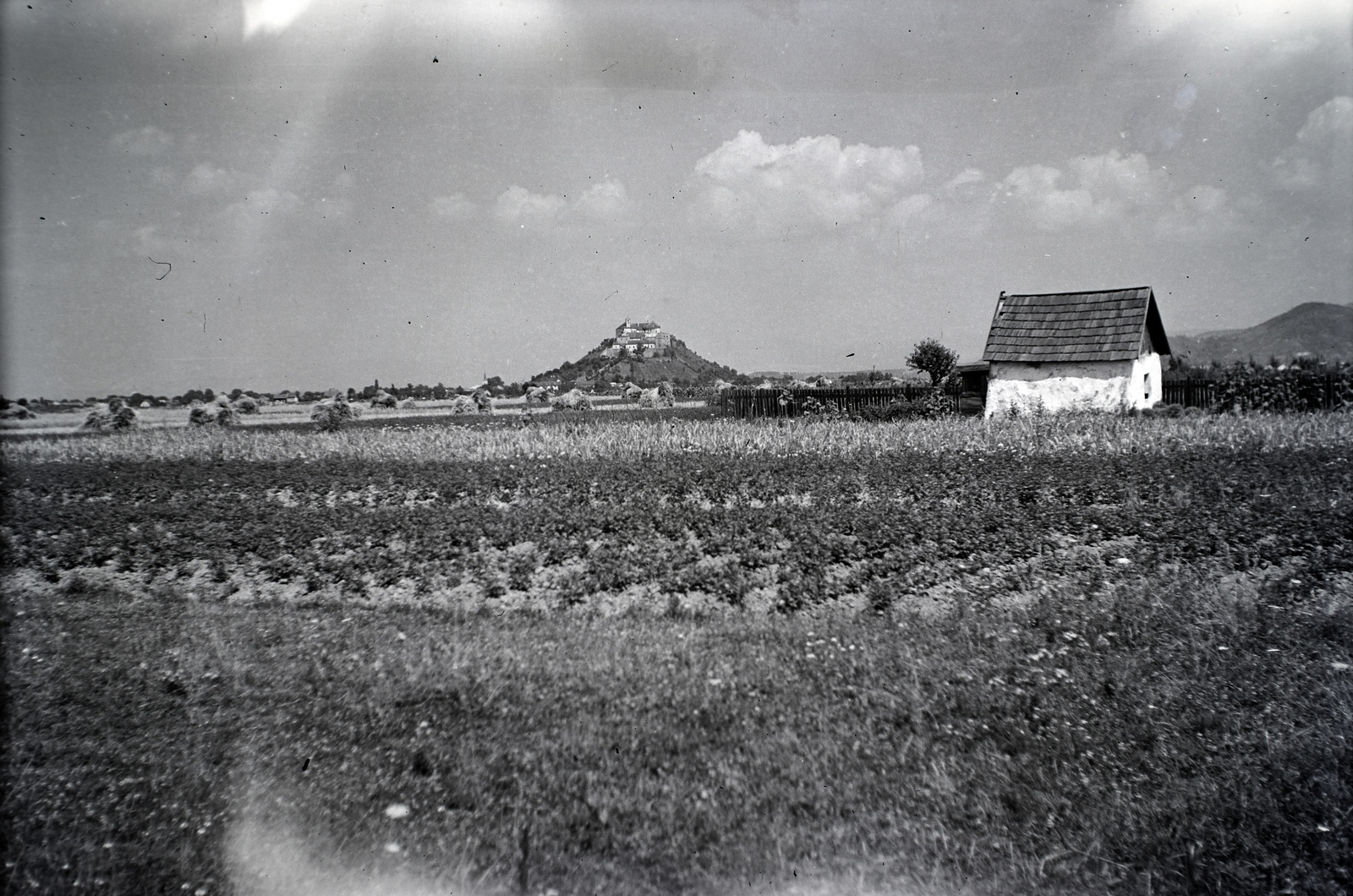 Ukraine,Zakarpattia Oblast, Mukachevo, Vár., 1939, Sattler Katalin, agriculture, potato, Fortepan #146212