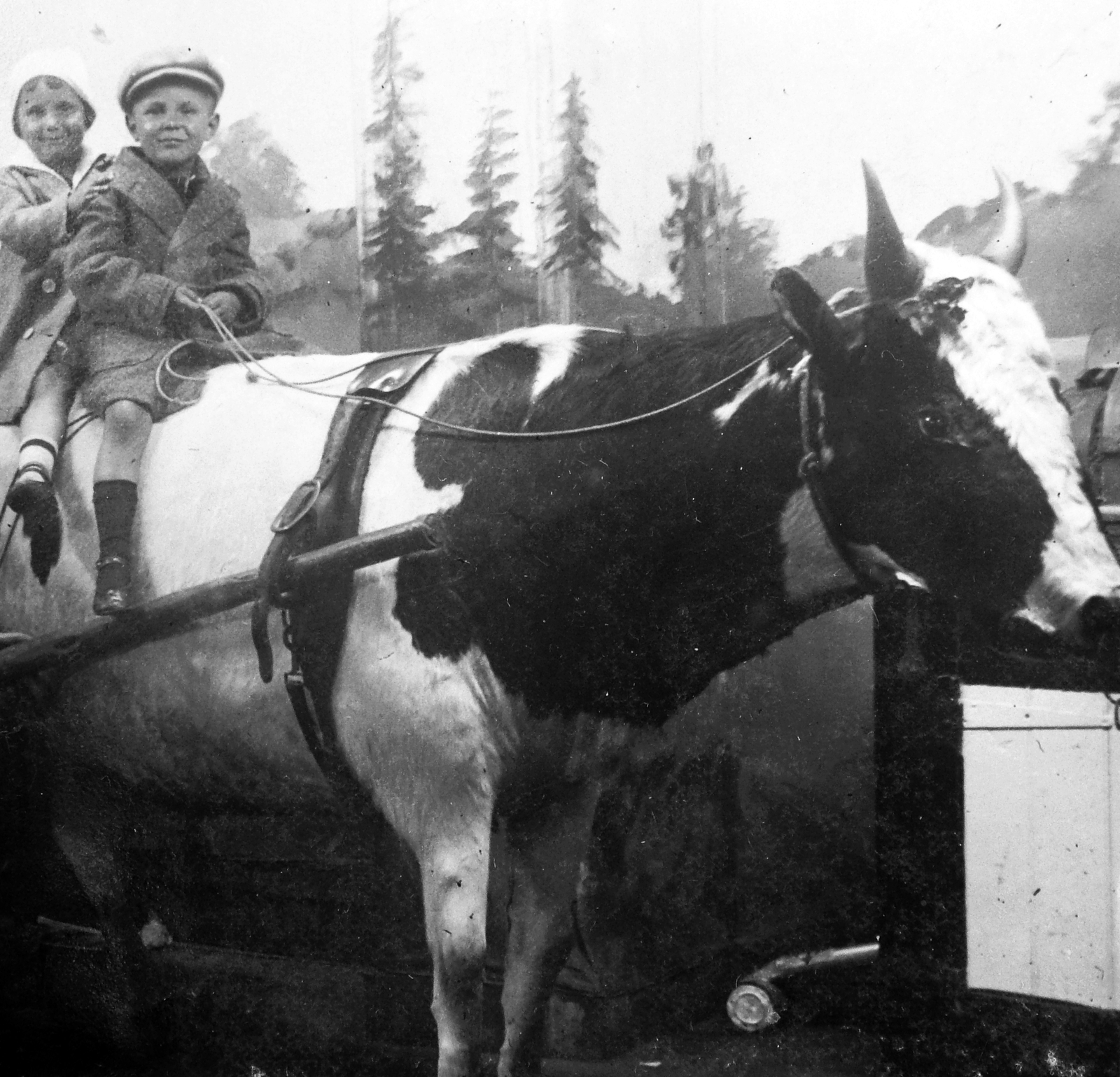 1934, Saly Noémi, cattle, kids, Fortepan #14692