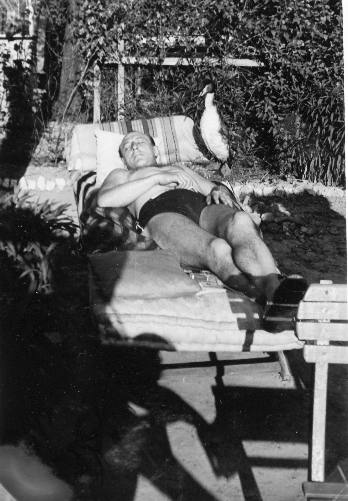 1941, Négyesi Pál, napozás, Fortepan #14779
