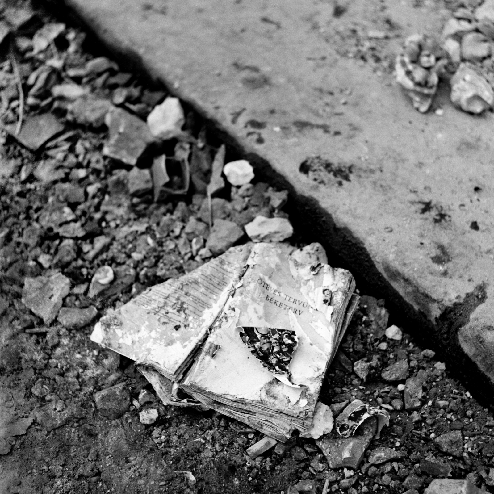 Hungary, Budapest, 1956, Balla Demeter / Hegyi Zsolt jogörökös adománya, revolution, photo aspect ratio: square, book, Fortepan #148105
