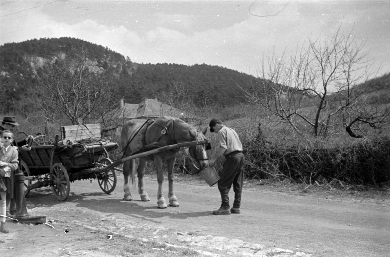 Magyarország, Budapest II., a Szalonka út a Kondorkert utcánál, szemben a Látó-hegy / Gugger-hegy., 1958, Barbjerik Ferenc, Budapest, lovaskocsi, itatás, vödör, Fortepan #148256