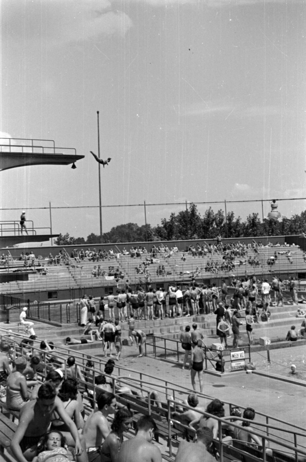 Hungary, Margit Islands, Budapest, Hajós Alfréd Nemzeti Sportuszoda., 1955, Barbjerik Ferenc, acrobatic diving, diving tower, Fortepan #148269