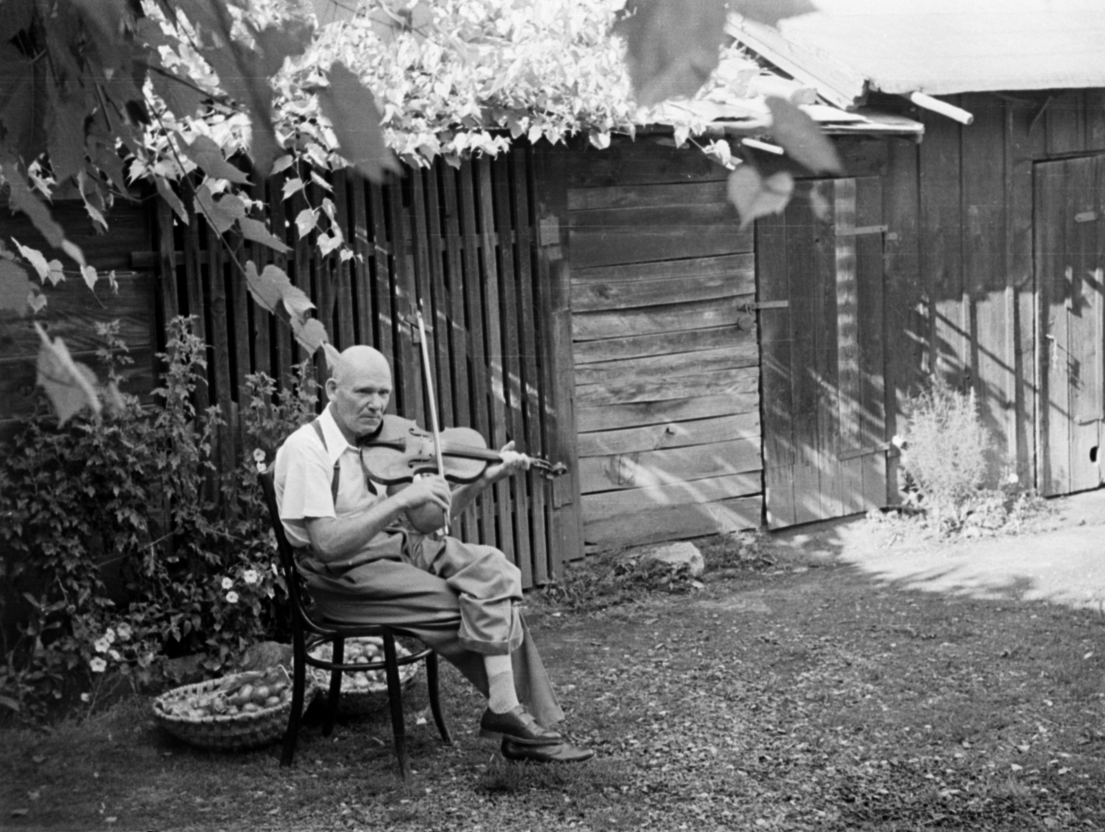 1950, Barbjerik Ferenc, yard, man, summer, violin, woodshed, Fortepan #148345