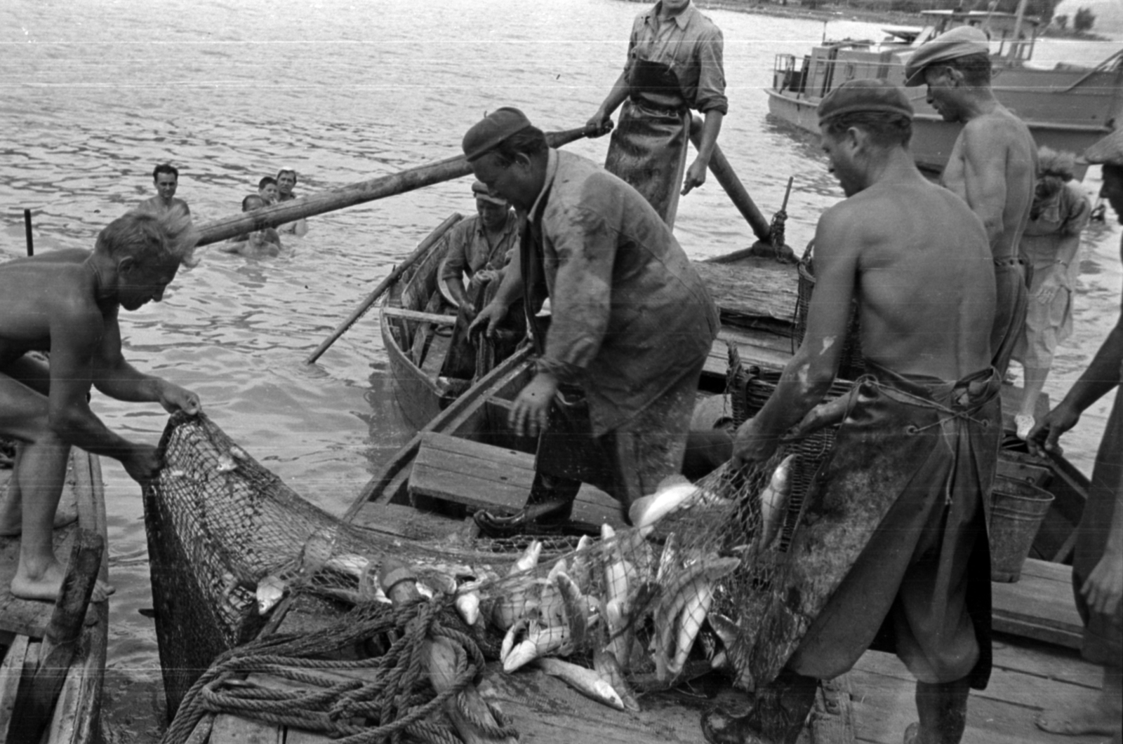 Hungary,Lake Balaton, halászok Tihany közelében., 1953, Barbjerik Ferenc, fishing net, Fortepan #148362