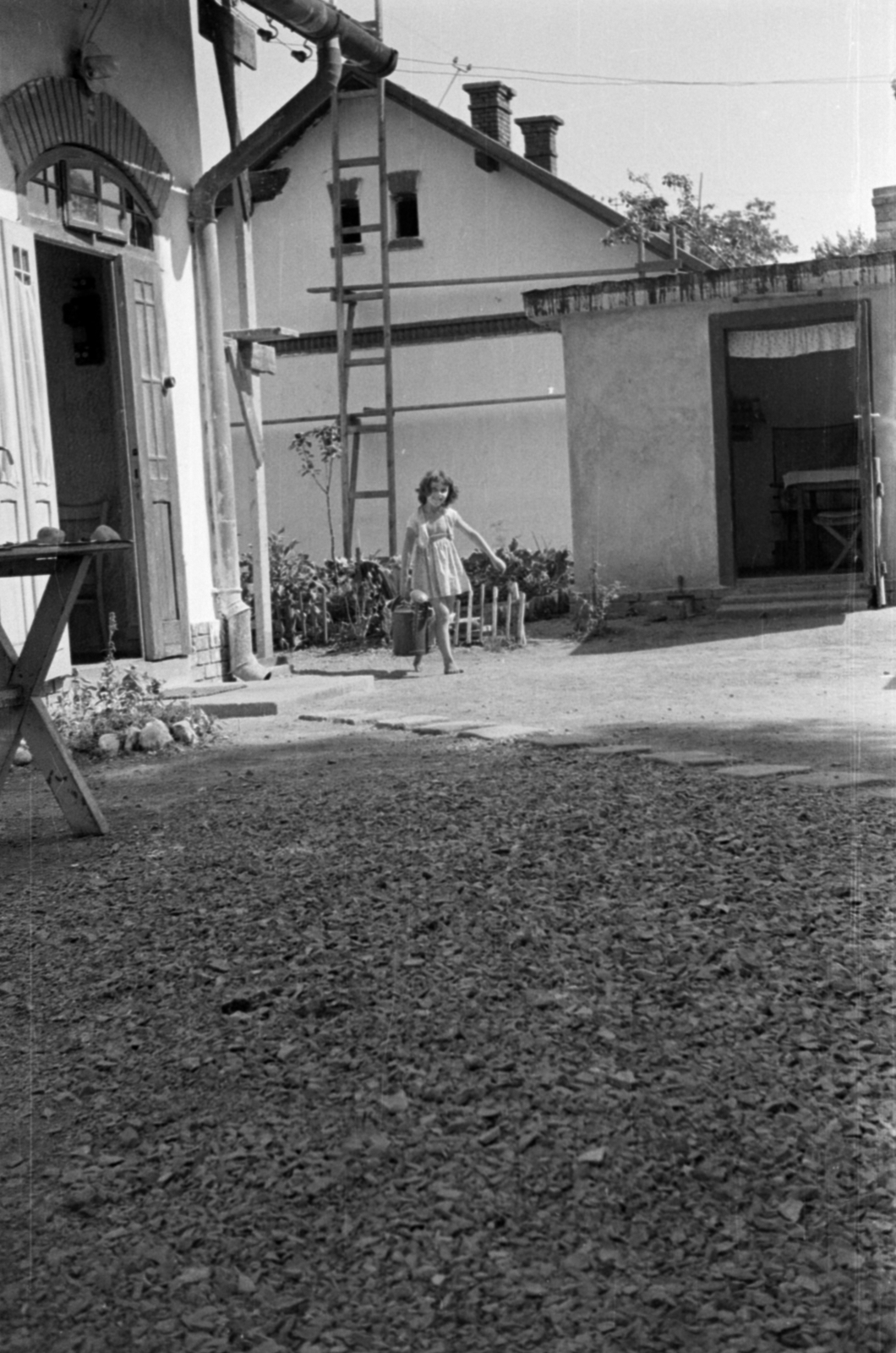 1955, Barbjerik Ferenc, girl, watering can, Fortepan #148382