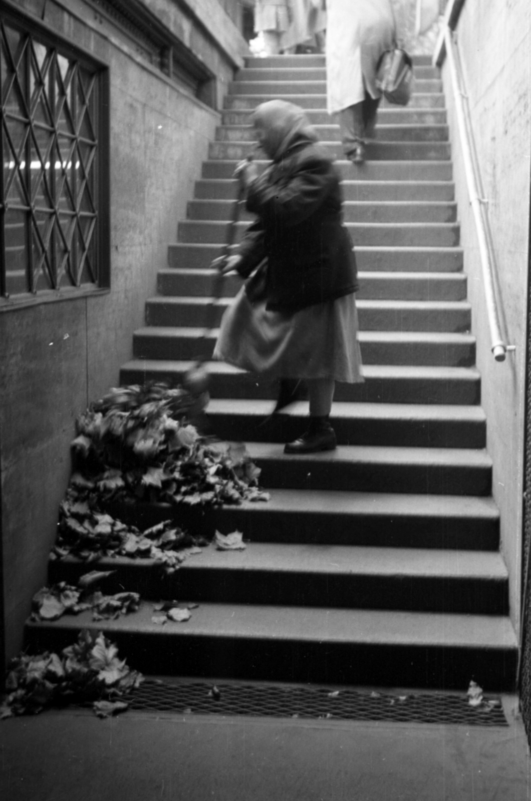 Hungary, Budapest, lejárat a Millenniumi Földalatti Vasút állomására., 1955, Barbjerik Ferenc, sweeper, Fortepan #148422
