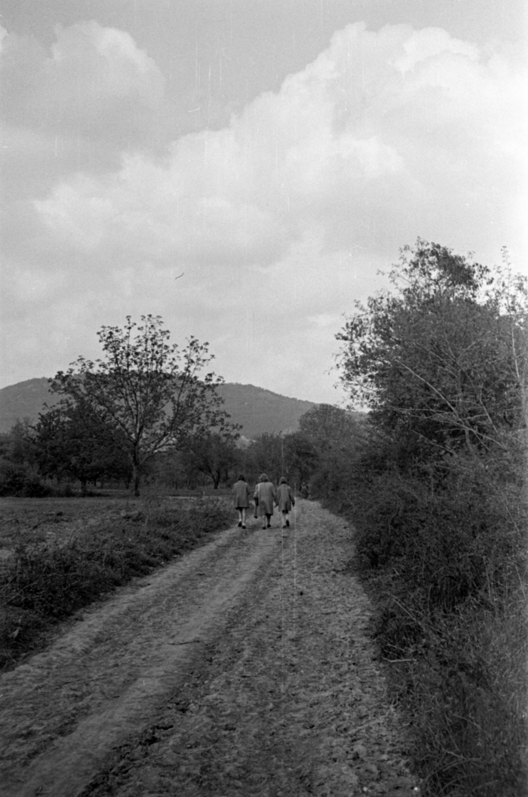 1957, Barbjerik Ferenc, dirt road, Fortepan #148478