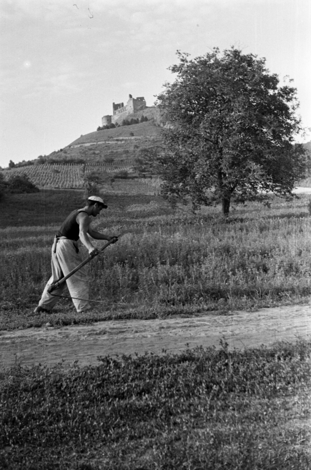 Hungary, Boldogkőváralja, Boldogkő vára., 1960, Barbjerik Ferenc, scythe, Fortepan #148568