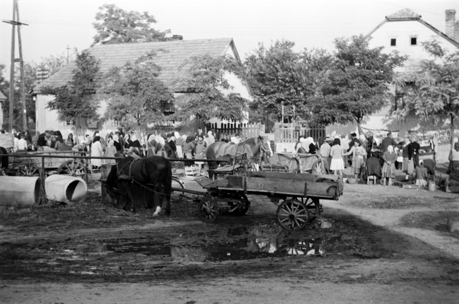 1960, Barbjerik Ferenc, piac, pocsolya, lovaskocsi, Fortepan #148583