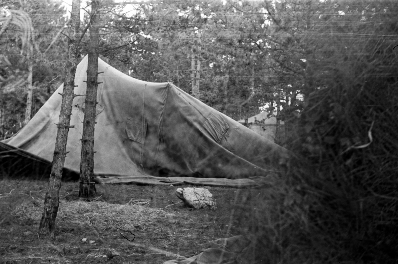 1960, Barbjerik Ferenc, tent, Fortepan #148600