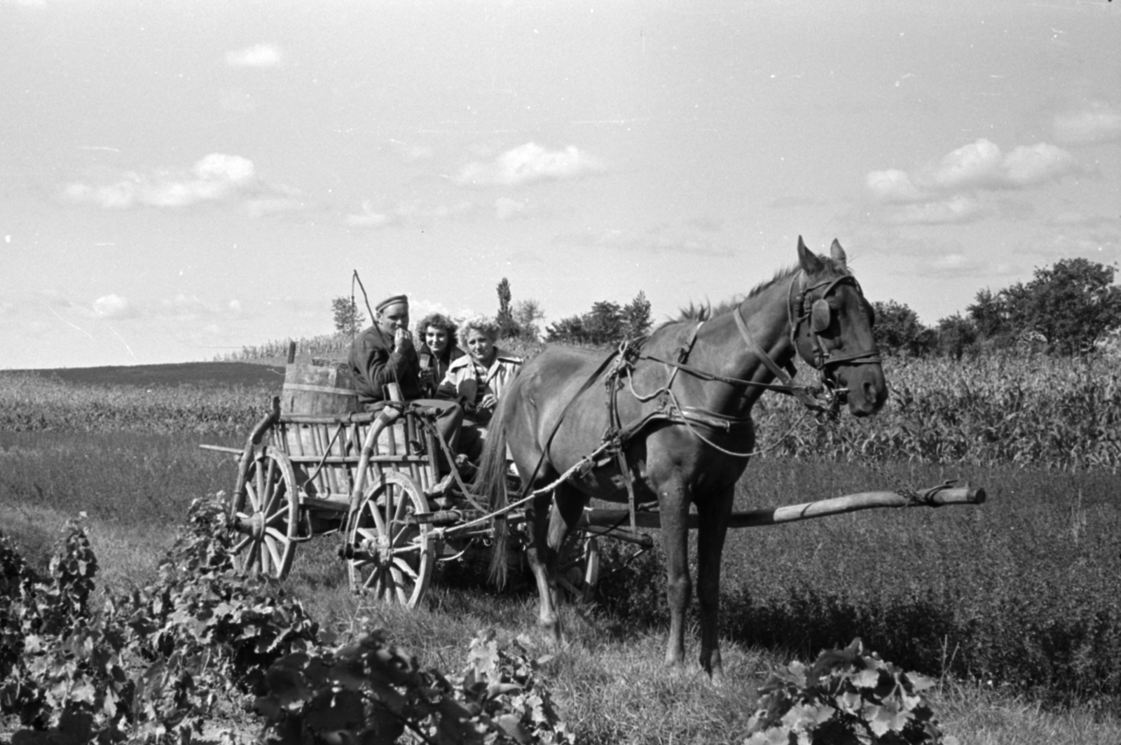 1957, Fortepan/Album027, szekér, Fortepan #148991