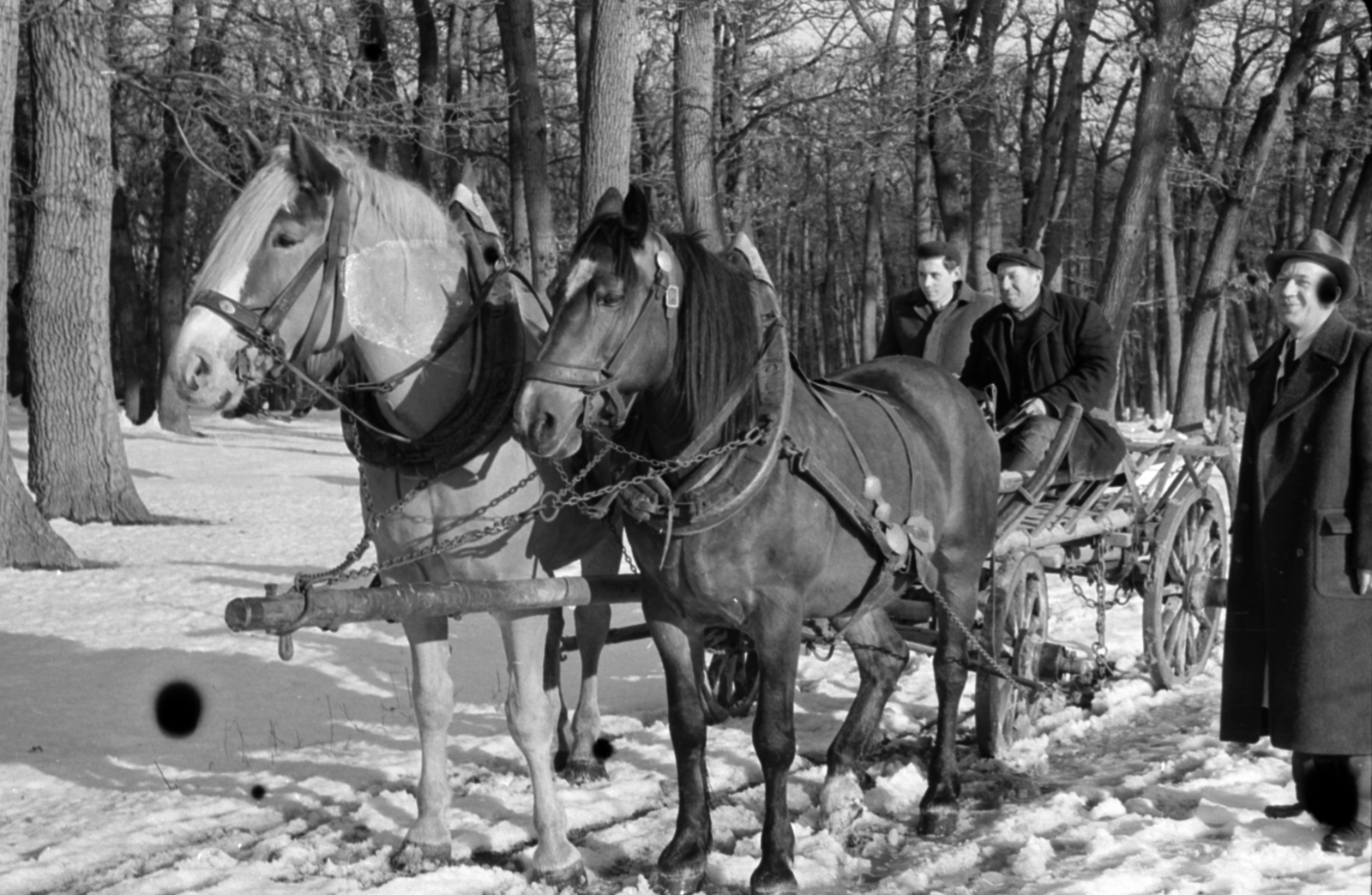 Hungary, Sopron, 1958, Fortepan/Album027, winter, snow, chariot, Fortepan #149035