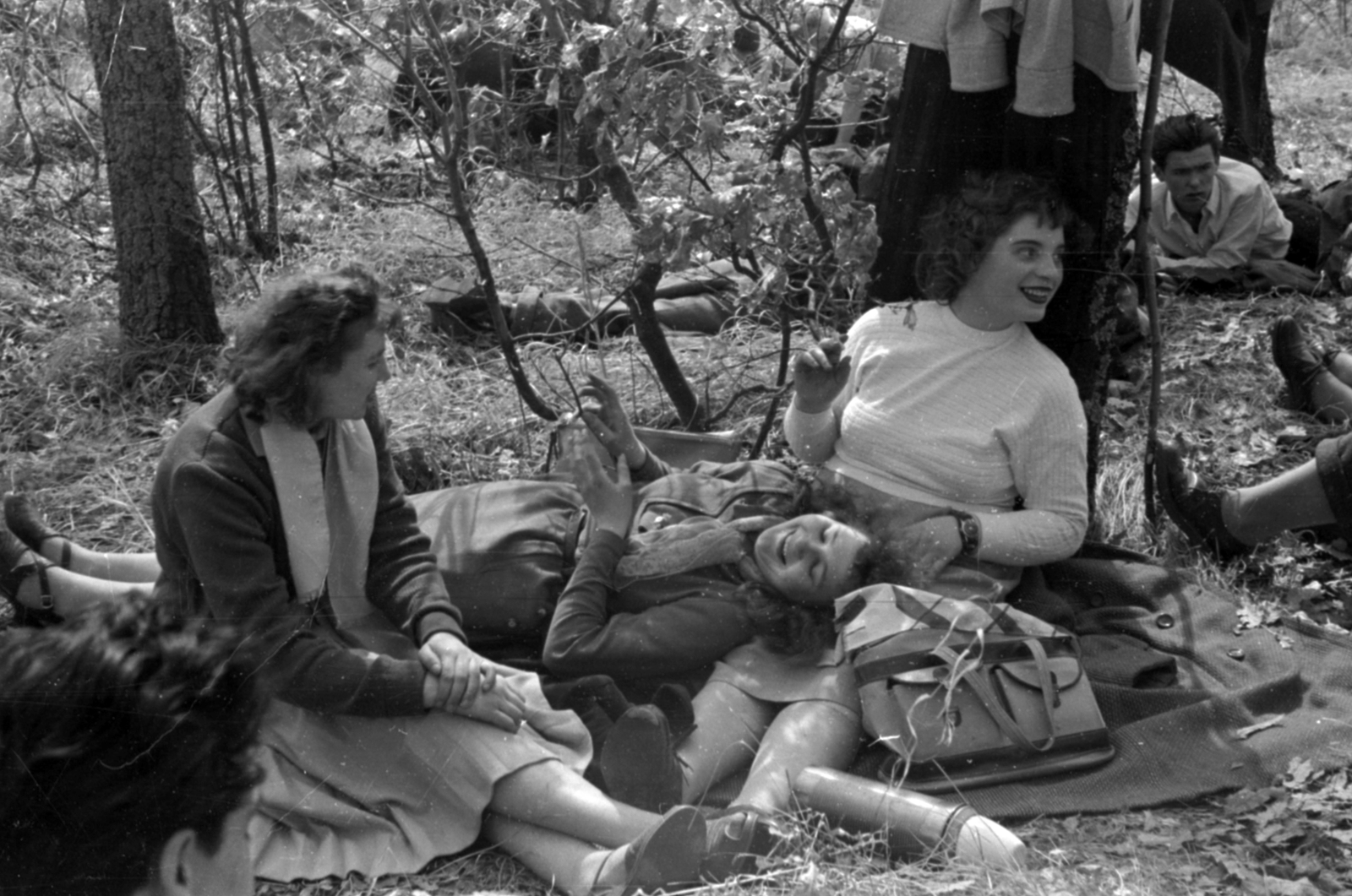 1958, Fortepan/Album027, relaxation, woods, plaid, Fortepan #149210