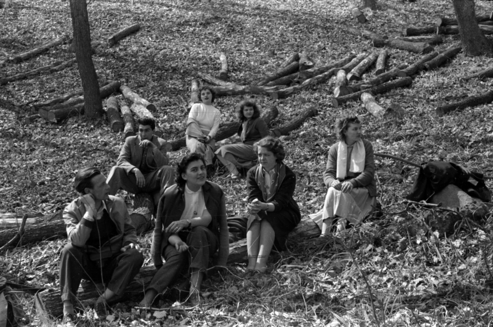 1958, Fortepan/Album027, relaxation, excursion, deforestation, woods, Fortepan #149212