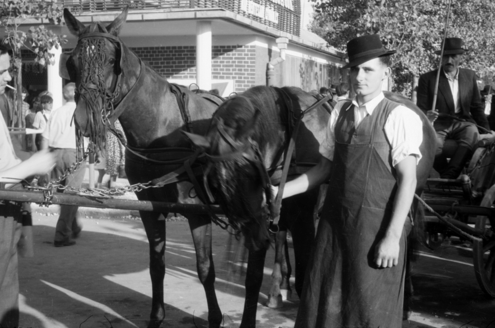 1960, Fortepan/Album027, rolled up sleeves, saddle, apron, teamster, Horse-drawn carriage, Fortepan #149234
