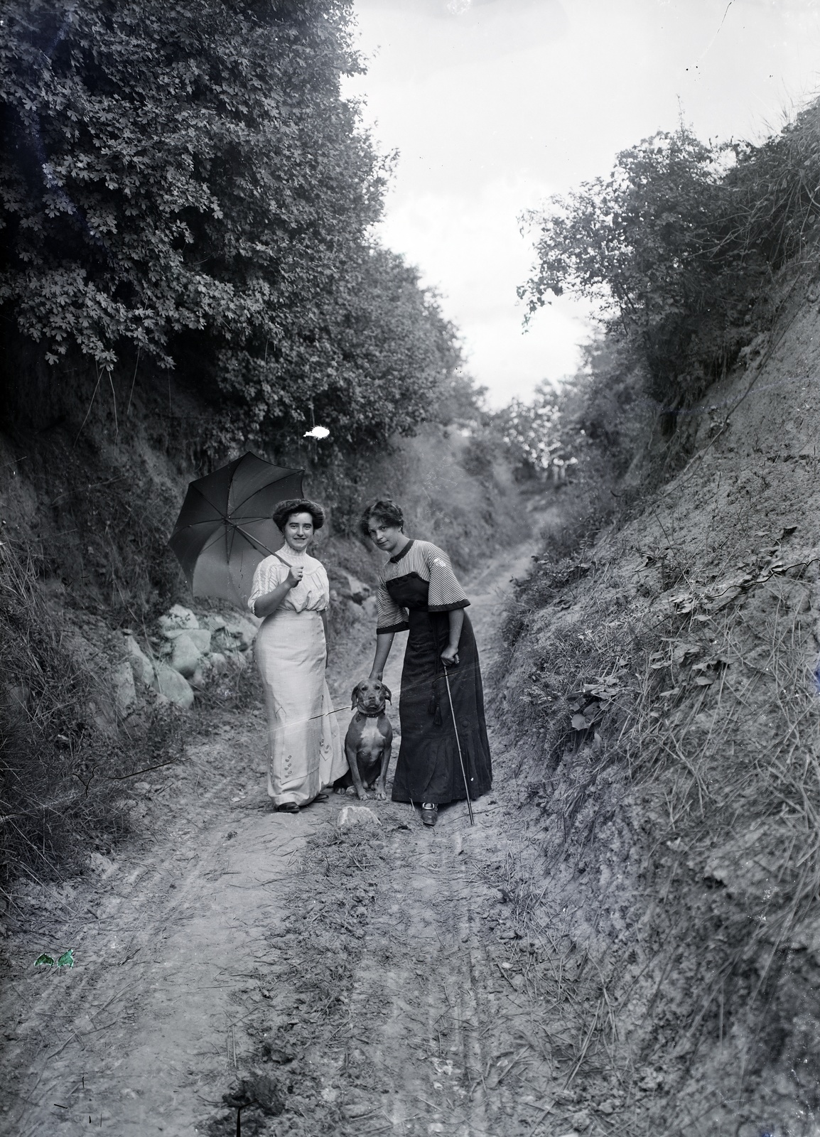 1913, Tóth Árpád, fashion, free time, dog, sunshades, lady, walking the dog, Fortepan #149330