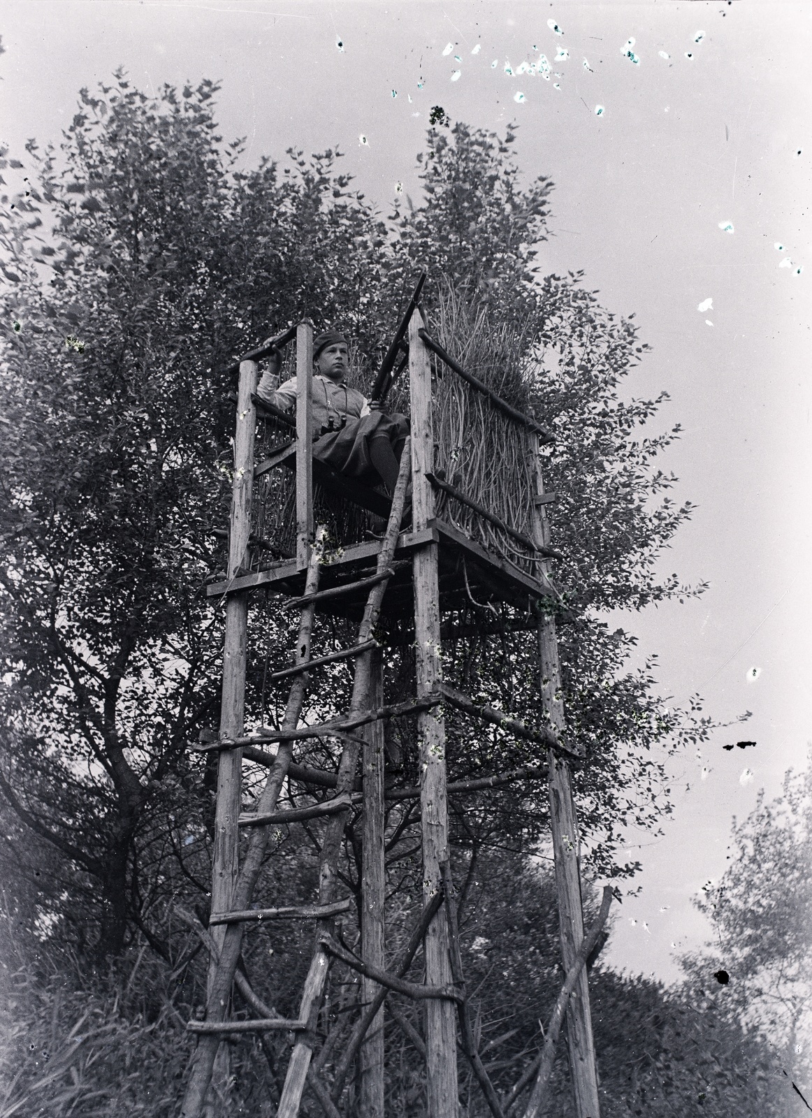 1929, Tóth Árpád, High-stand, hunter, Fortepan #149362