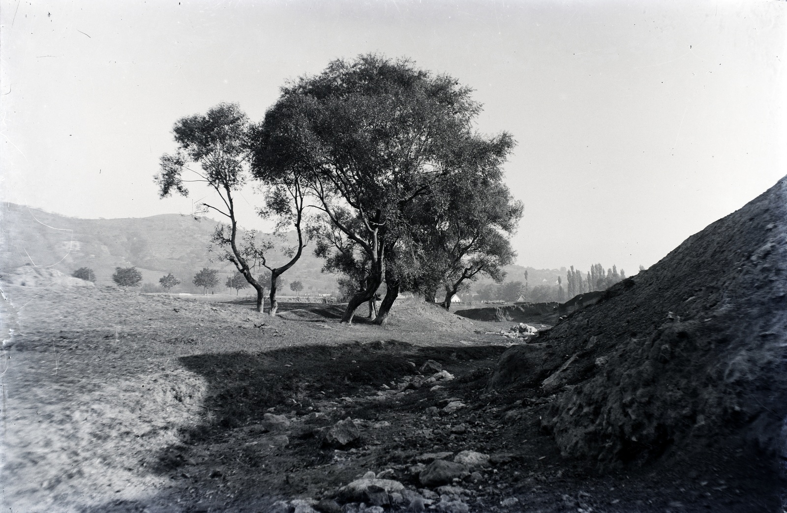 1916, Tóth Árpád, First World War, Fortepan #149412