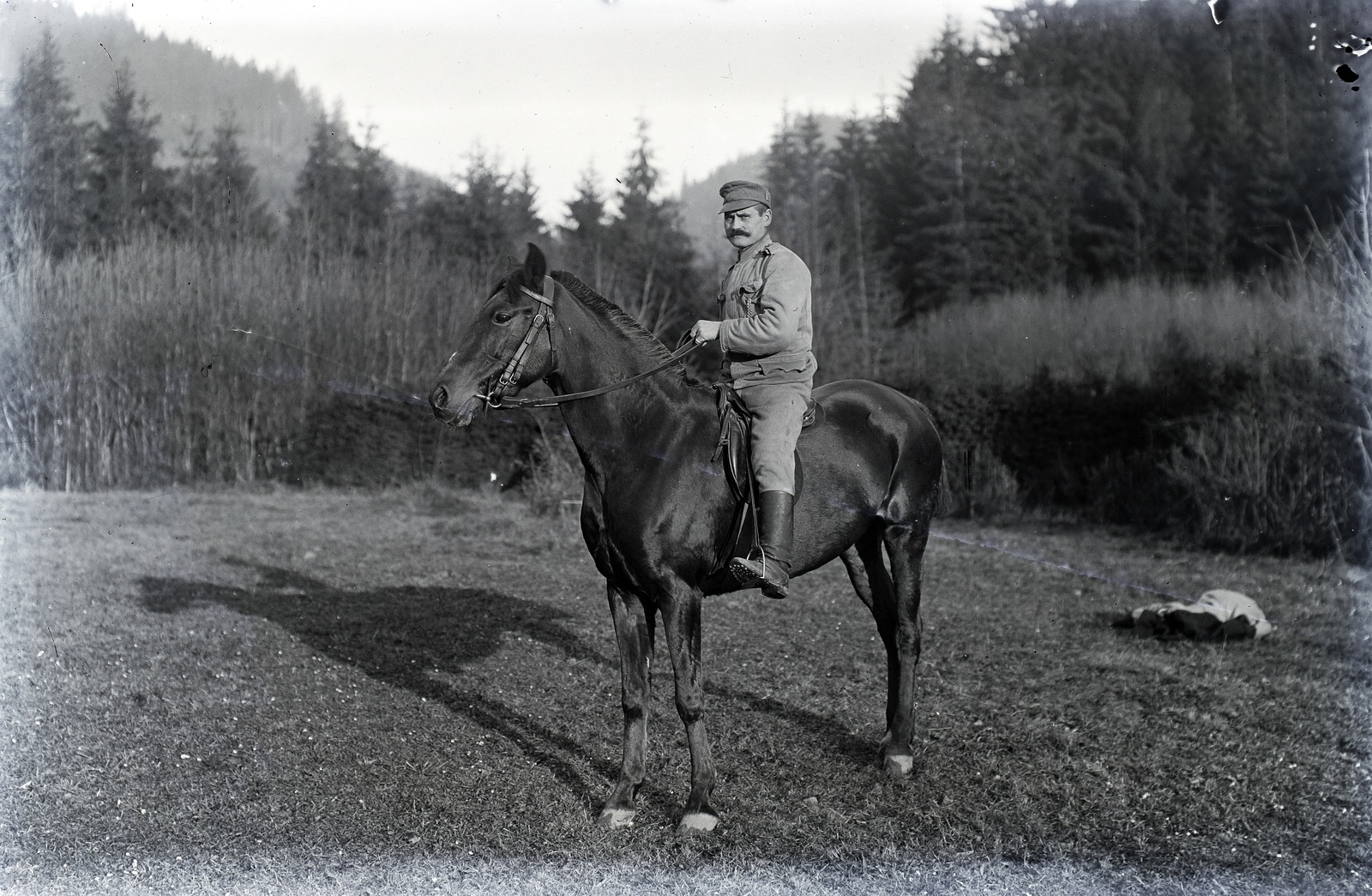 1917, Tóth Árpád, First World War, horse, rider, Fortepan #149425