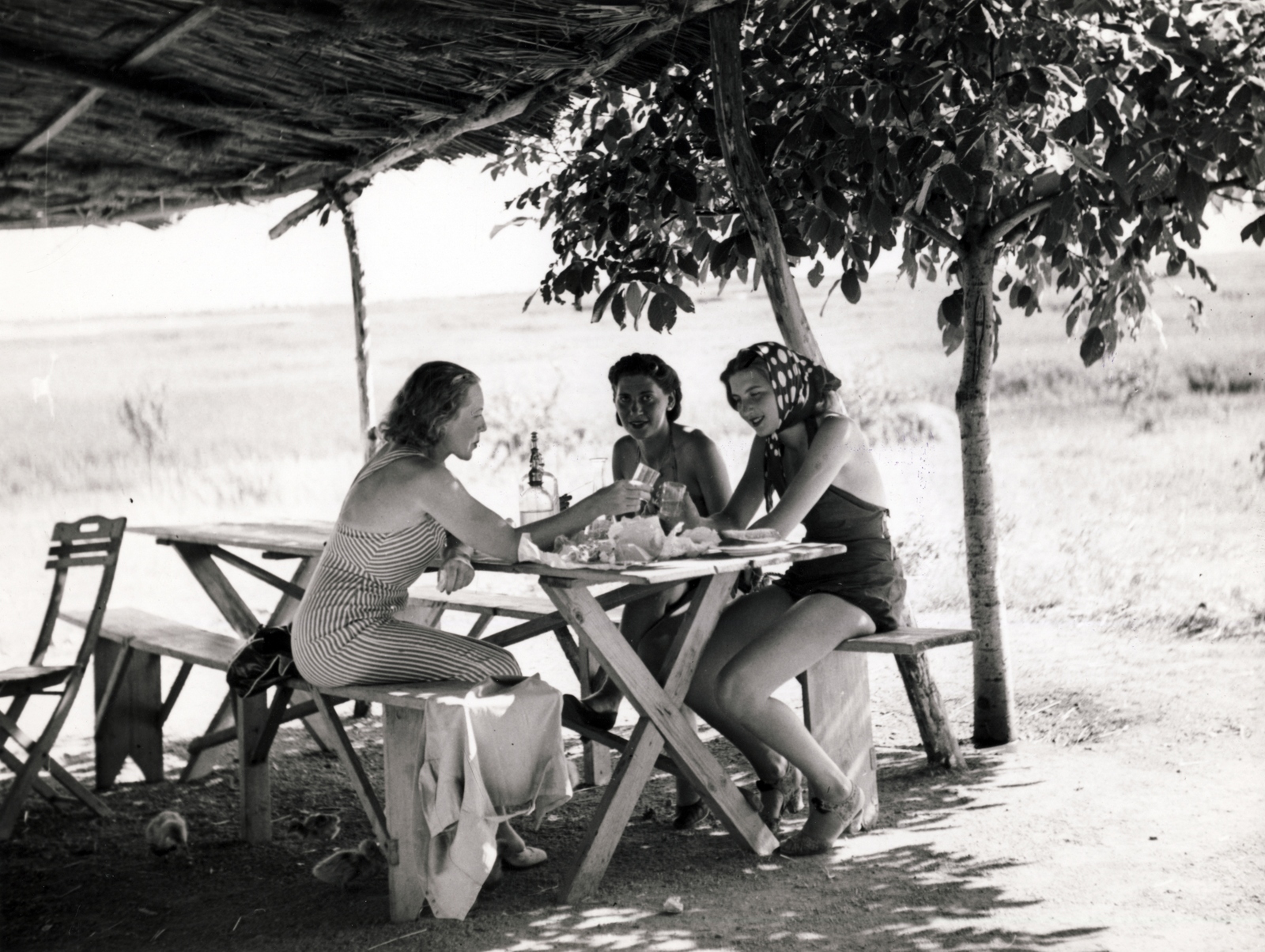 1937, Szöllősy Kálmán, poultry, shadow, headscarf, soda water bottle, Fortepan #149510