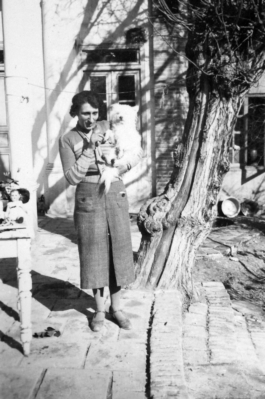 Iran, Teheran, 1936, Saly Noémi, dog, Fortepan #15072
