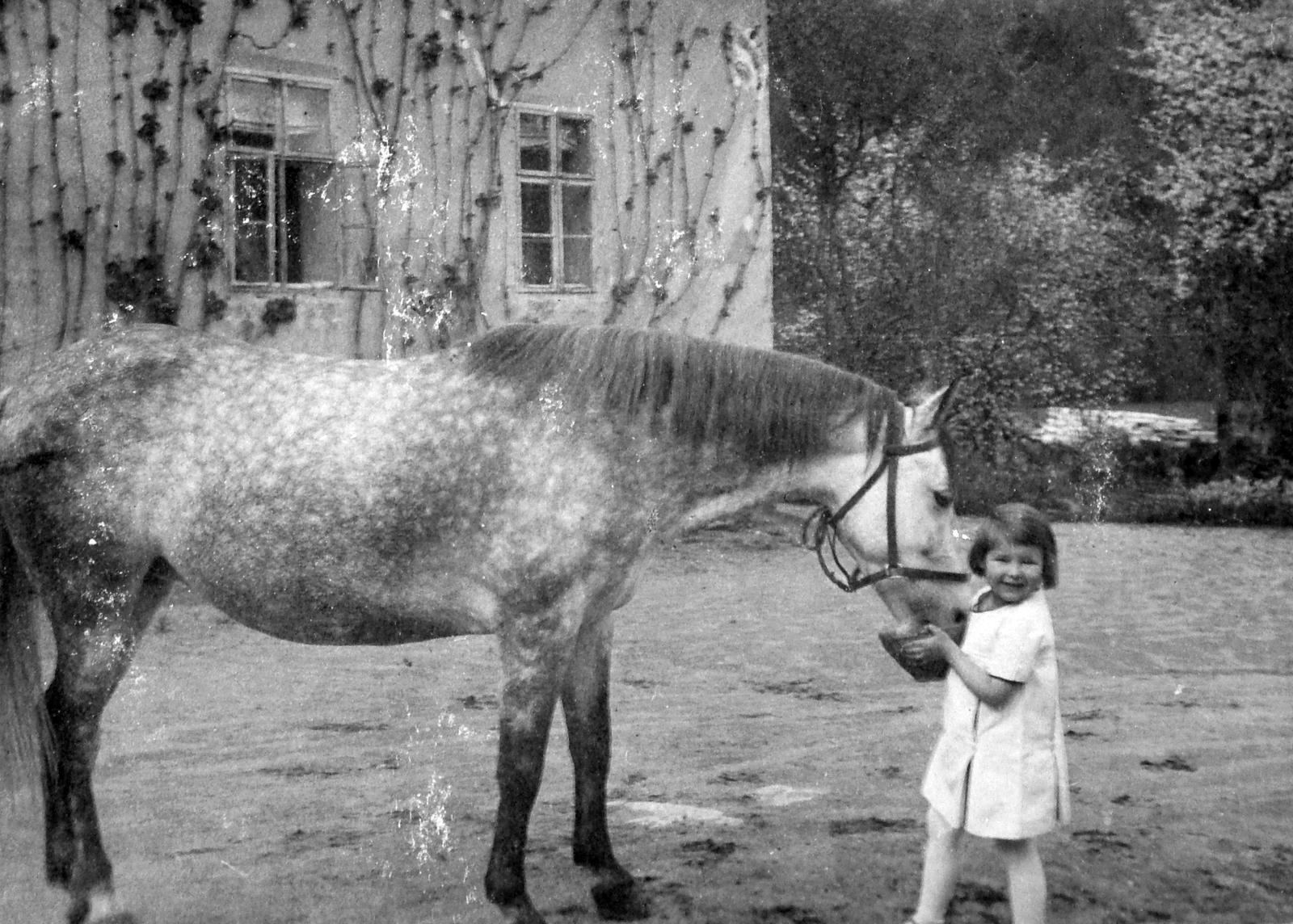 1931, Saly Noémi, horse, yard, girl, summer, Fortepan #15081