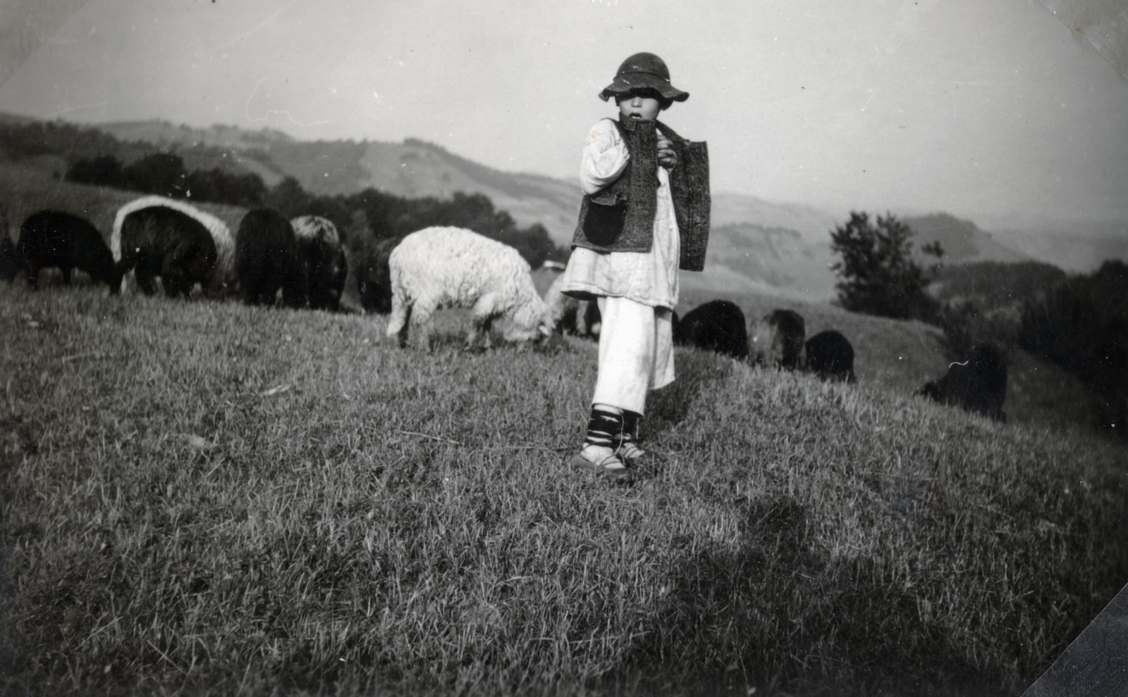 Romania,Transylvania, Reghin, 1940, Varga Csaba dr., herdsboy, Fortepan #151003