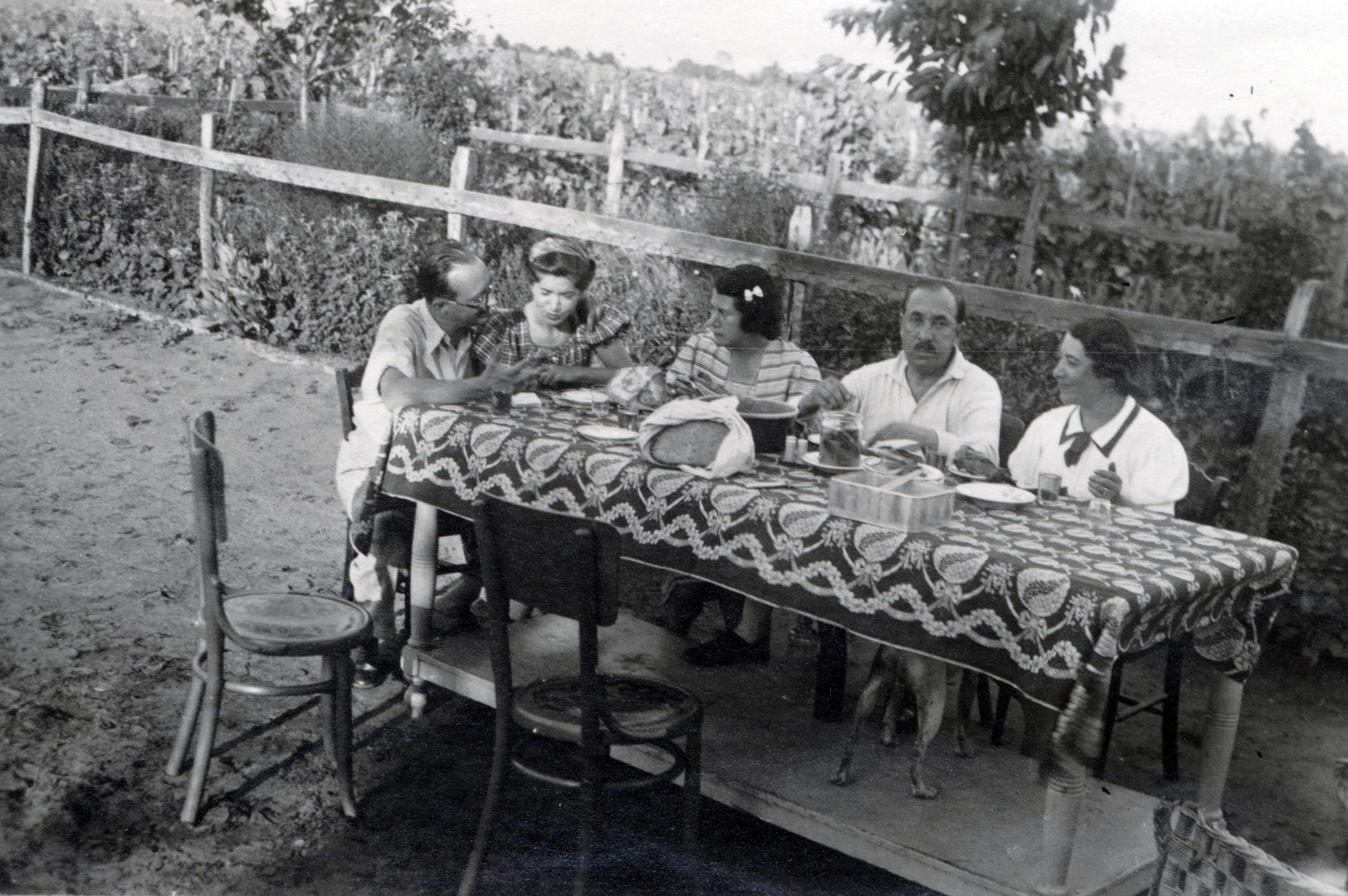 1939, Kőszegi Anna, meal, loaf of bread, vine, tonett, dog, Fortepan #151086