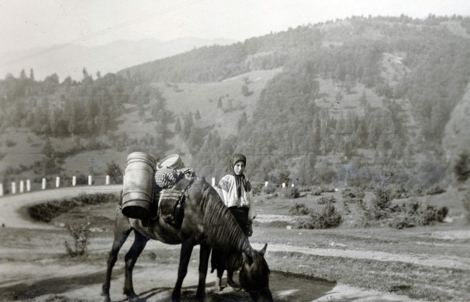 1941, Kőszegi Anna, horse, dirt road, folk costume, pack animal, Fortepan #151107