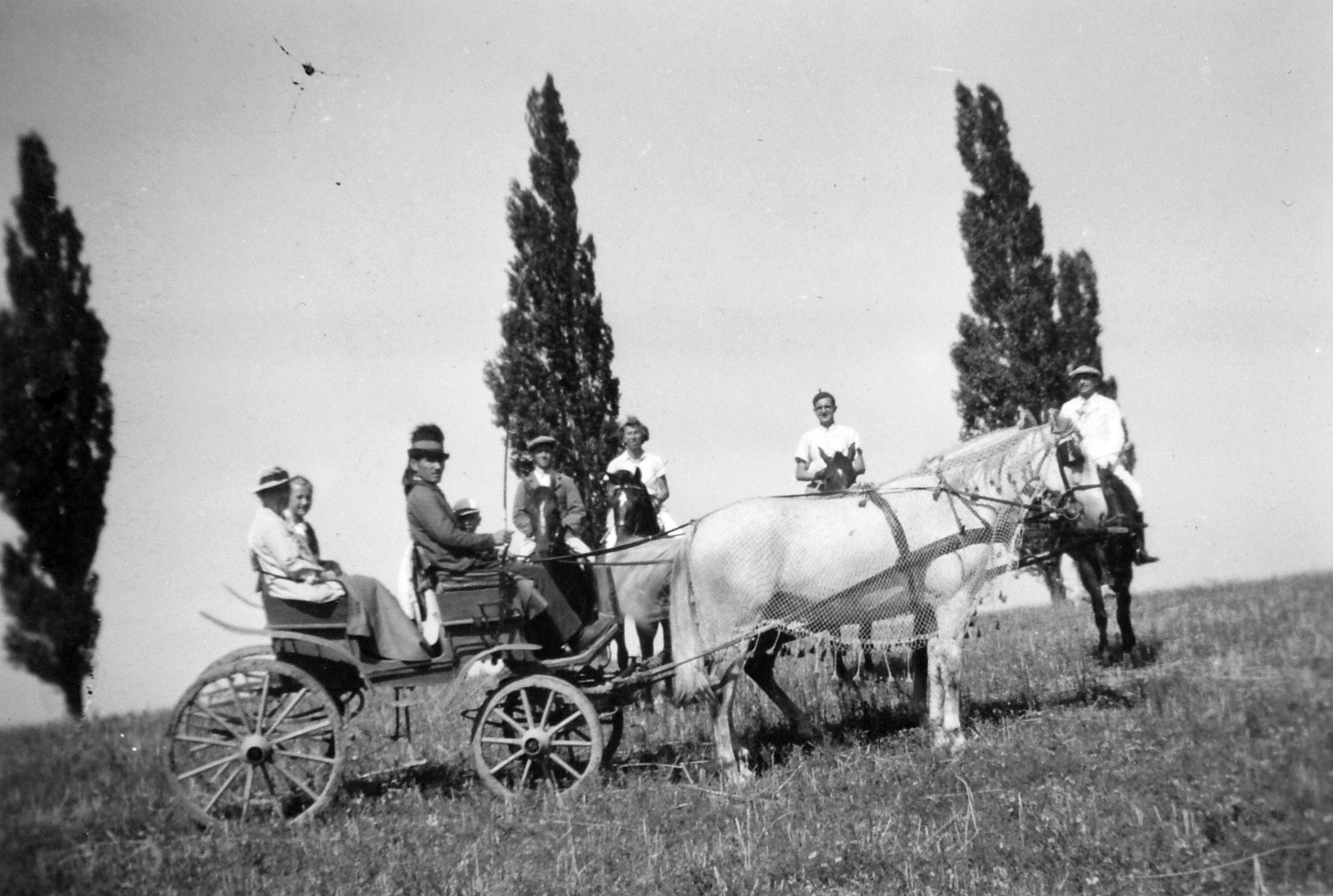 1944, Saly Noémi, szabadidő, ló, hintó, csoportkép, nők, férfiak, mező, fogat, kocsis, lovaglás, Fortepan #15125
