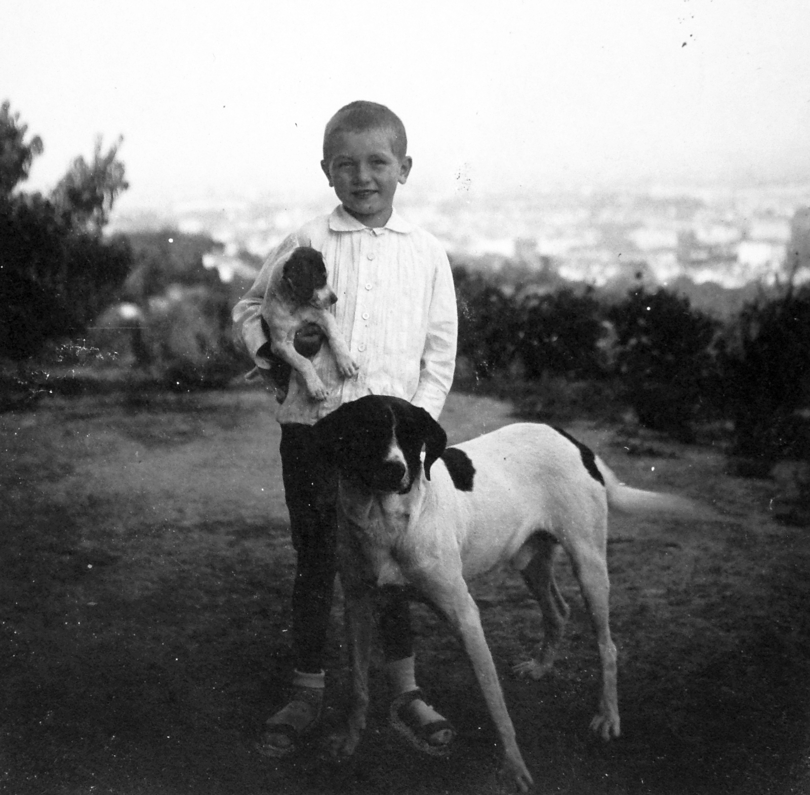 1932, Saly Noémi, dog, kid, Fortepan #15165