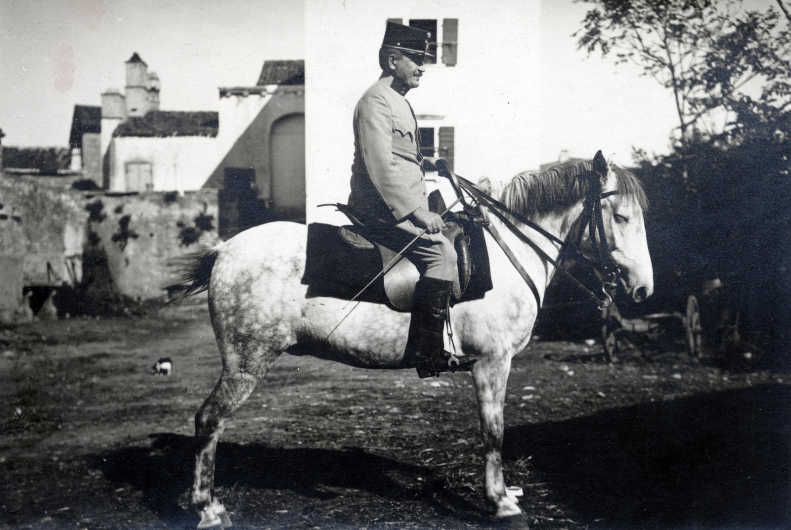 1914, Tarbay Júlia, First World War, horse, Fortepan #151674