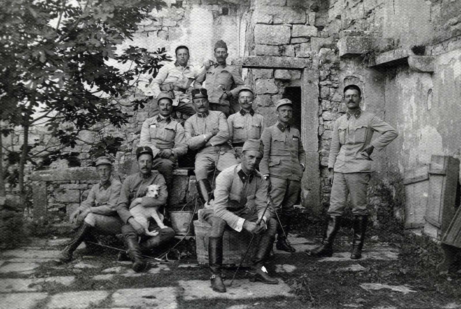 Croatia, 1914, Tarbay Júlia, First World War, officer, wide sitting, sitting on a wall, hold in arms, dog, Fortepan #151689