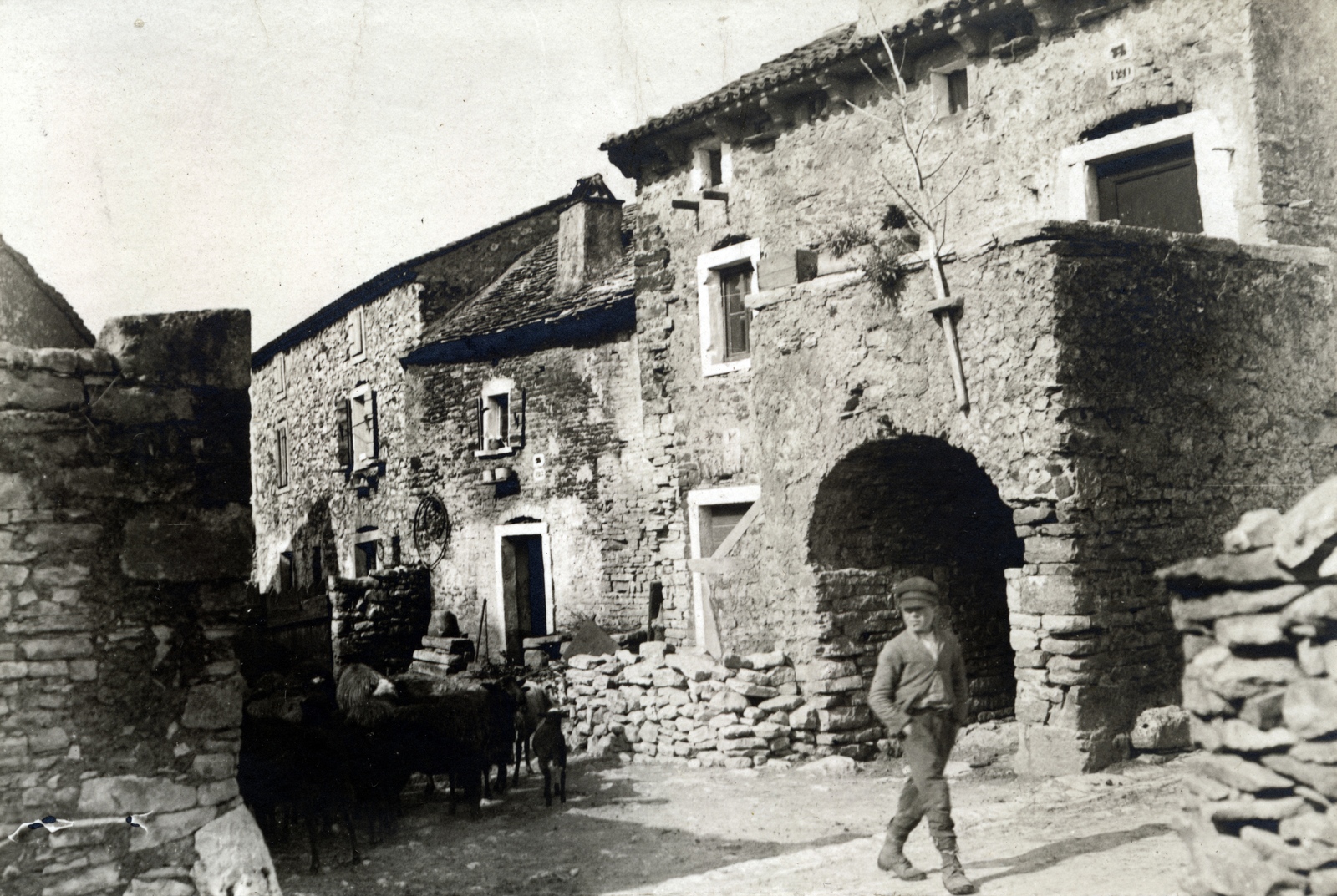 Croatia, 1915, Tarbay Júlia, Fortepan #151746