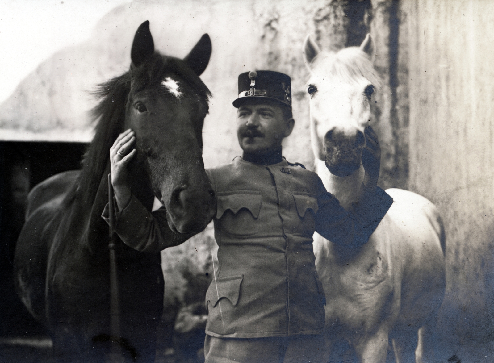 1916, Tarbay Júlia, horse, Fortepan #151786