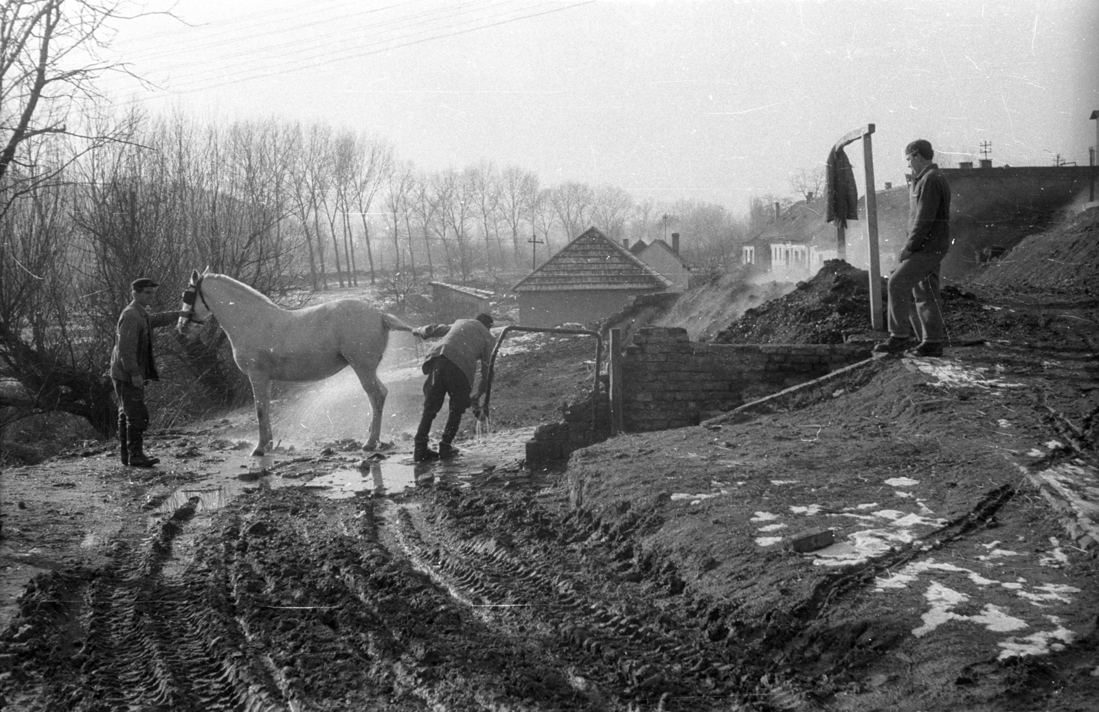 1968, Ebner, mud, Fortepan #151832