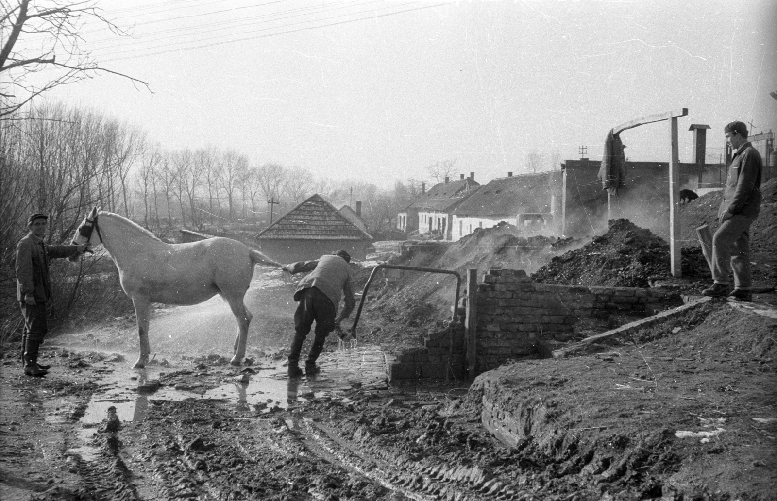 1968, Ebner, sár, Fortepan #151833