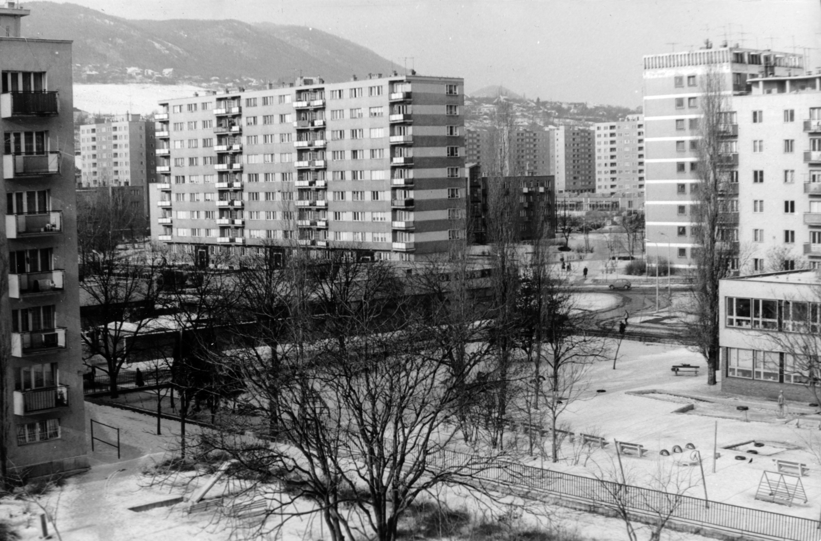 Hungary, Óbuda, Budapest III., kilátás a Szőlő utcai sávház (Faluház) Solymár utcai oldala felől a a Gyenes utca 3-7. számú ház és a kísérleti lakótelep felé., 1979, Előd Erika, Budapest, Fortepan #153426